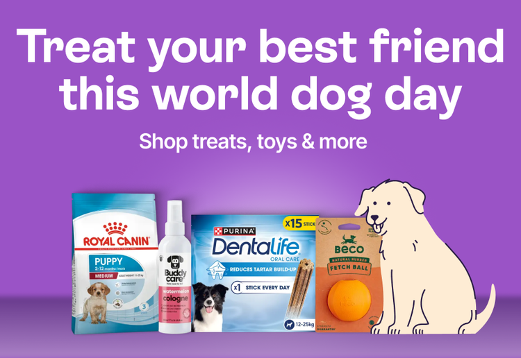 Treat your best friend this world dog day - Shop treats, toys &amp; more