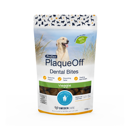 ProDen PlaqueOff Veggie Dental Bites for Medium & Large Dogs 1 x 150g 10044