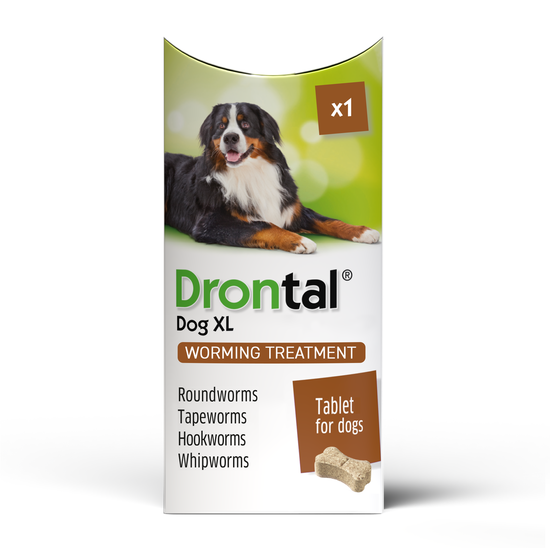 Drontal Tasty Bone XL Wormer Tablets for Large Dogs (Over 20kg) 2789