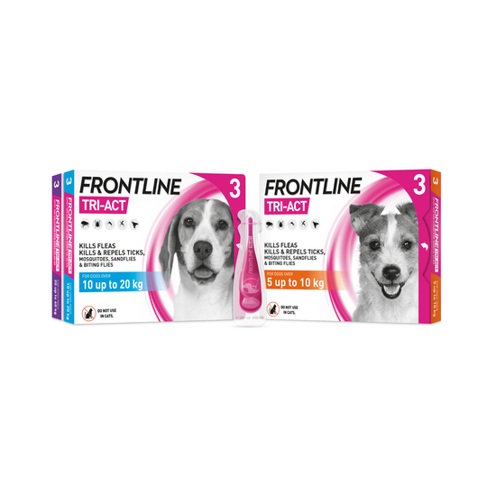 FRONTLINE TRI-ACT Spot-On Flea & Tick Treatment for Dogs 3240