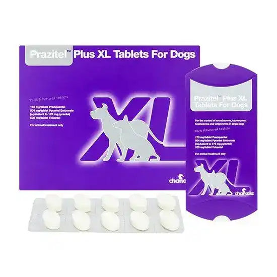 Prazitel Plus XL Worming Tablets for Extra Large Dogs 10146