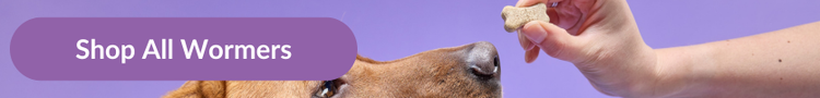 A fox red labrador being offered a Drontal Tasty Bone worming treatment with overlay text that reads &#34;Shop All Wormers&#34;&#34;