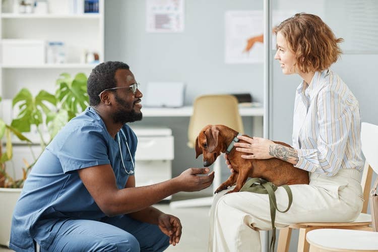 Vet speaking with a dog owner