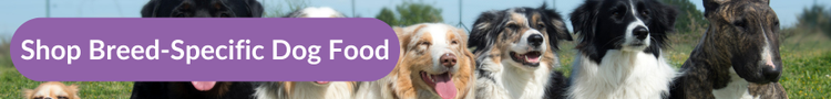A chihuahua, A rottweiler, three australian shepherds, a border collie, and bull terrier all sitting in a line with overlay text that reads &#34;Shop Breed-specific Dog Food&#34;