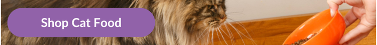 Shop all Cat Food | Vet cat food, dental cat food, high protein cat food
